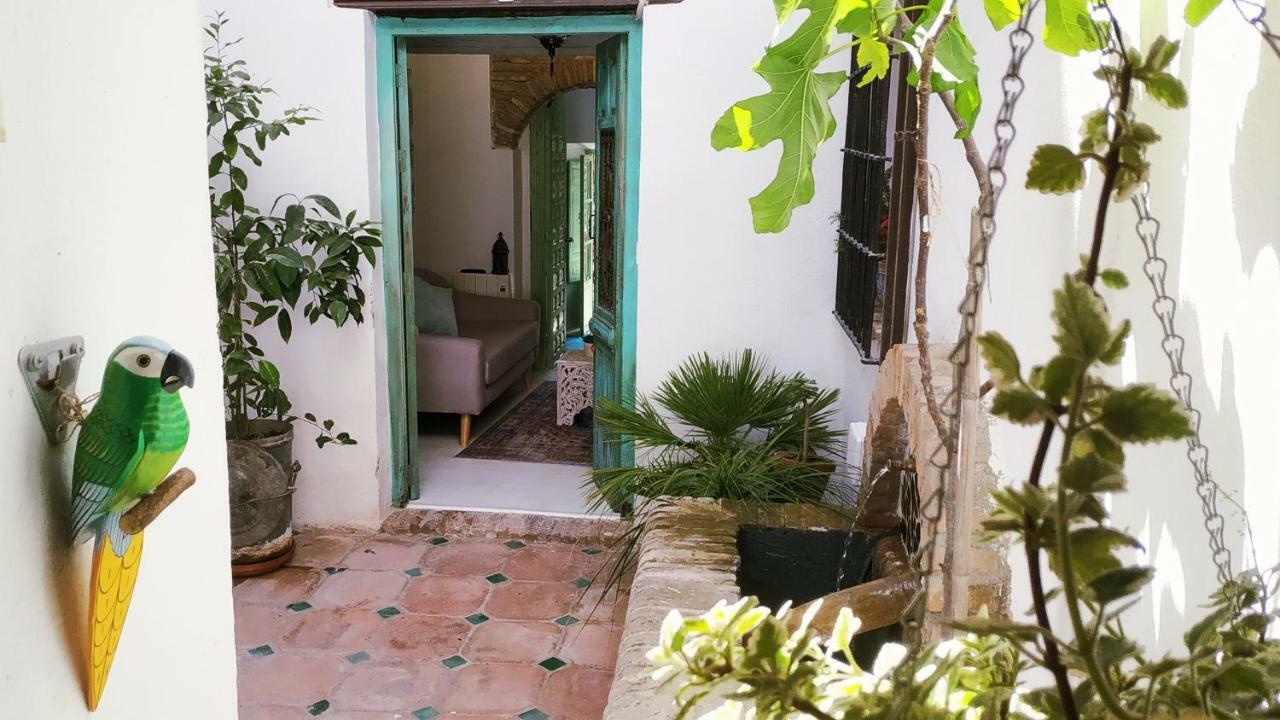 Riad Puertas Del Albaicin Γρανάδα Εξωτερικό φωτογραφία